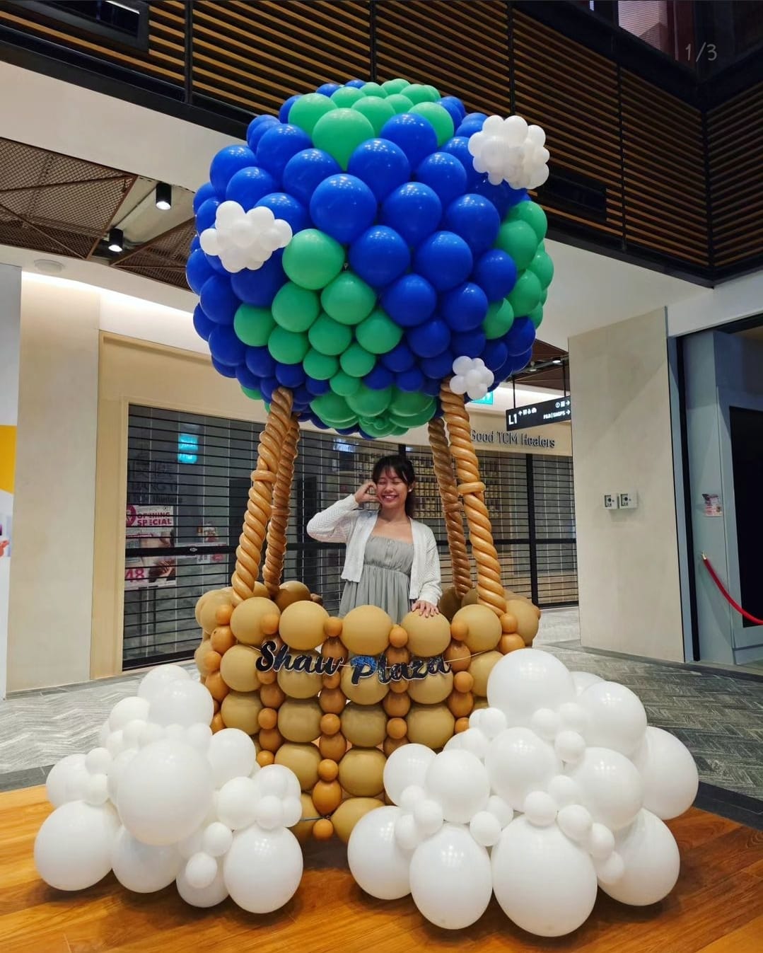 Hot Air Balloon Photo Backdrop Display (Life Size)