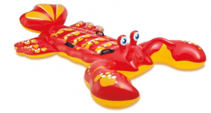 Pool Party Rentals