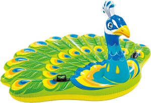 Pool Party Rentals