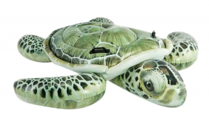 Pool Party Rentals