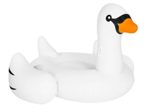 Pool Party Rentals